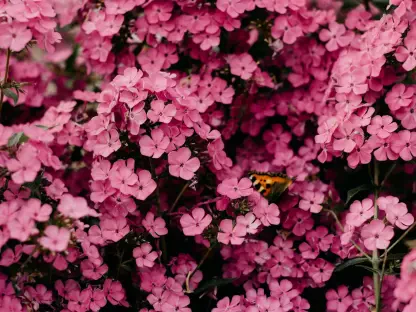 Can Google's New Images Tab Rival TikTok and Pinterest?